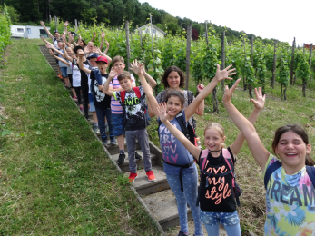 Schuljahr 2018/19 und älter