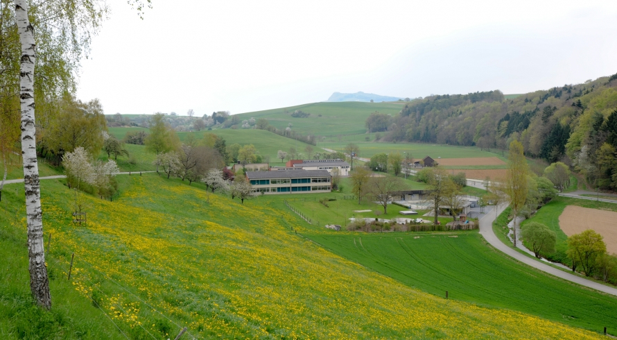 Schule Thayngen